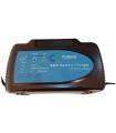 Cargador baterías 12V 2A - 8A -16A